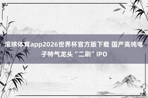 滚球体育app2026世界杯官方版下载 国产高纯电子特气龙头“二刷”IPO