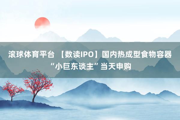 滚球体育平台 【数读IPO】国内热成型食物容器“小巨东谈主”当天申购