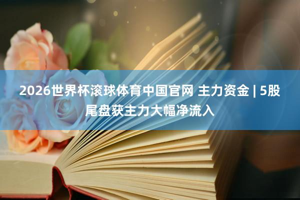 2026世界杯滚球体育中国官网 主力资金 | 5股尾盘获主力大幅净流入