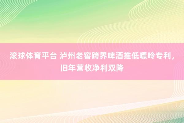 滚球体育平台 泸州老窖跨界啤酒推低嘌呤专利，旧年营收净利双降