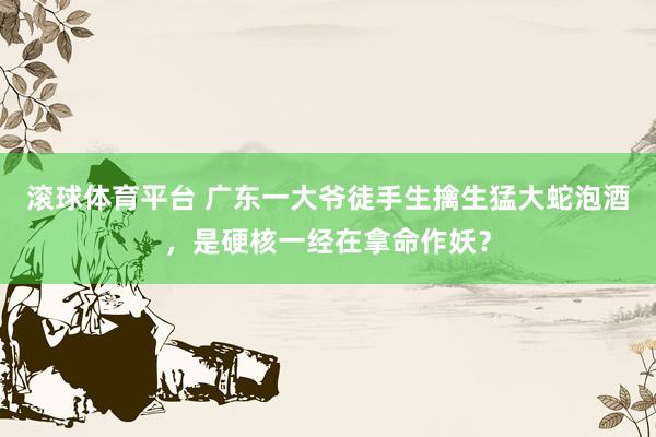 滚球体育平台 广东一大爷徒手生擒生猛大蛇泡酒，是硬核一经在拿命作妖？
