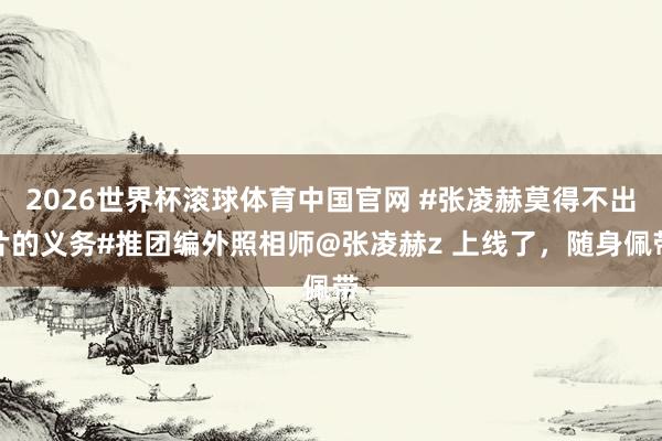 2026世界杯滚球体育中国官网 #张凌赫莫得不出片的义务#推团编外照相师@张凌赫z 上线了，随身佩带