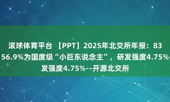 滚球体育平台 【PPT】2025年北交所年报：83%公司盈利，56.9%为国度级“小巨东说念主”，研发强度4.75%--开源北交所