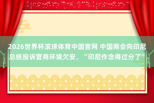 2026世界杯滚球体育中国官网 中国商会向印尼总统投诉营商环境欠安，“印尼作念得过分了”