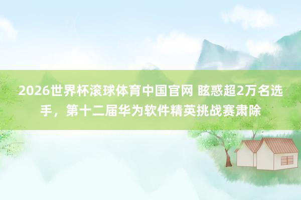 2026世界杯滚球体育中国官网 眩惑超2万名选手，第十二届华为软件精英挑战赛肃除