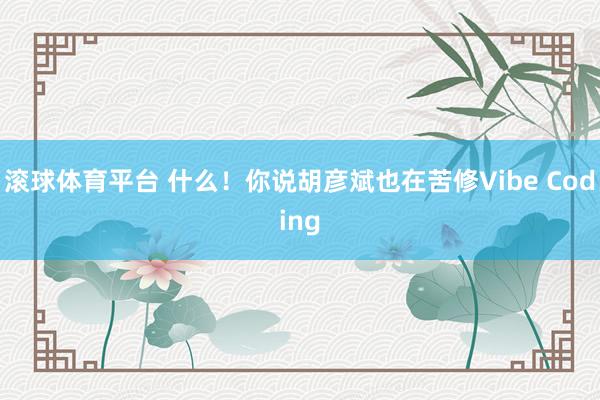 滚球体育平台 什么！你说胡彦斌也在苦修Vibe Coding