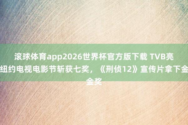 滚球体育app2026世界杯官方版下载 TVB亮相纽约电视电影节斩获七奖，《刑侦12》宣传片拿下金奖