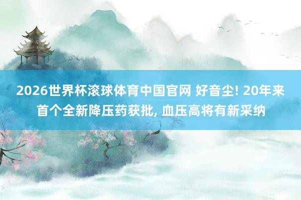 2026世界杯滚球体育中国官网 好音尘! 20年来首个全新降压药获批， 血压高将有新采纳