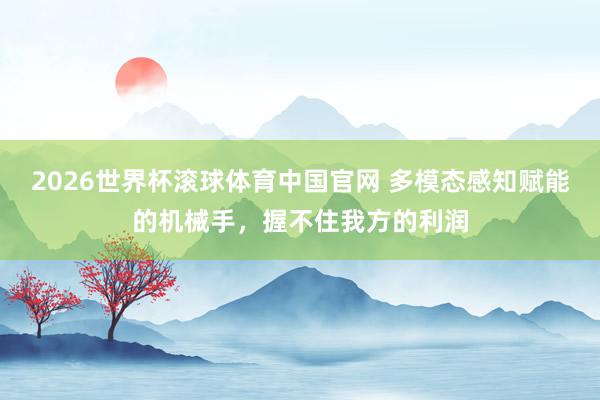 2026世界杯滚球体育中国官网 多模态感知赋能的机械手，握不住我方的利润