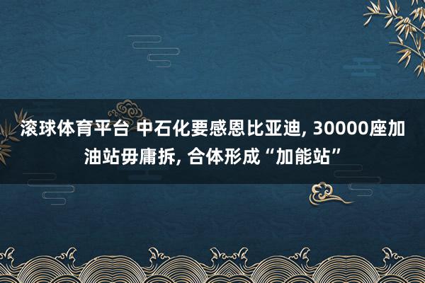 滚球体育平台 中石化要感恩比亚迪, 30000座加油站毋庸拆