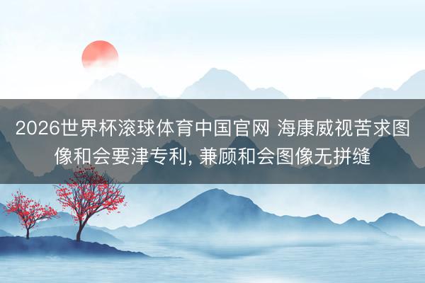 2026世界杯滚球体育中国官网 海康威视苦求图像和会要津专利, 兼顾和会图像无拼缝