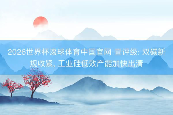 2026世界杯滚球体育中国官网 壹评级: 双碳新规收紧， 工业硅低效产能加快出清