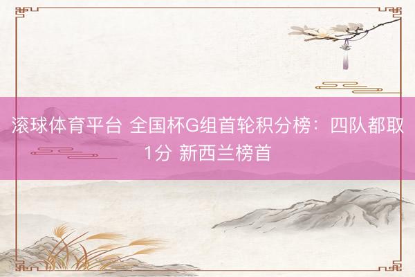 滚球体育平台 全国杯G组首轮积分榜：四队都取1分 新西兰榜首