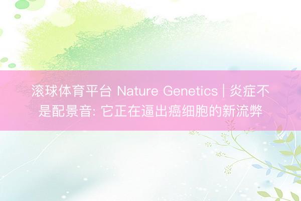 滚球体育平台 Nature Genetics | 炎症不是配景音: 它正在逼出癌细胞的新流弊