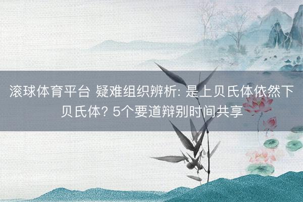 滚球体育平台 疑难组织辨析: 是上贝氏体依然下贝氏体? 5个要道辩别时间共享