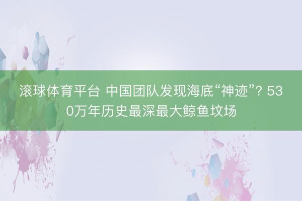 滚球体育平台 中国团队发现海底“神迹”? 530万年历史最深最大鲸鱼坟场