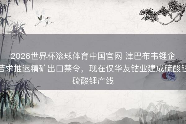 2026世界杯滚球体育中国官网 津巴布韦锂企集合苦求推迟精矿出口禁令,现在仅华友钴业建成硫酸锂产线